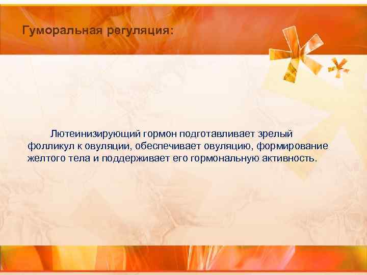 Гуморальная регуляция: Лютеинизирующий гормон подготавливает зрелый фолликул к овуляции, обеспечивает овуляцию, формирование желтого тела