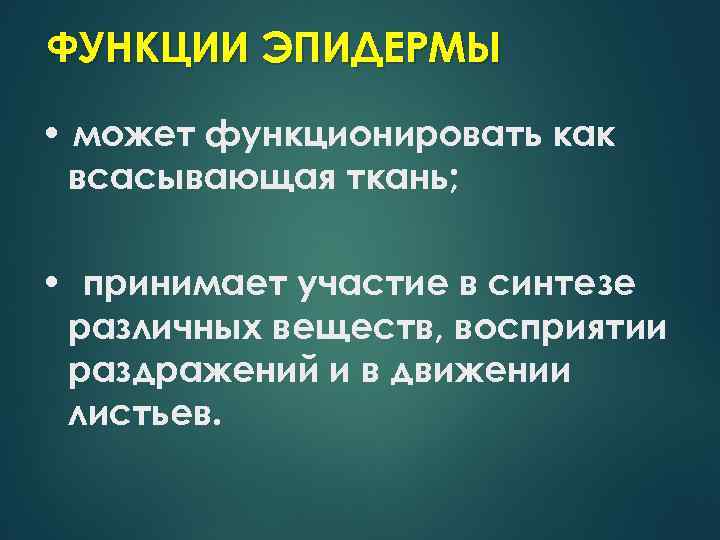 ФУНКЦИИ ЭПИДЕРМЫ • может функционировать как всасывающая ткань; • принимает участие в синтезе различных