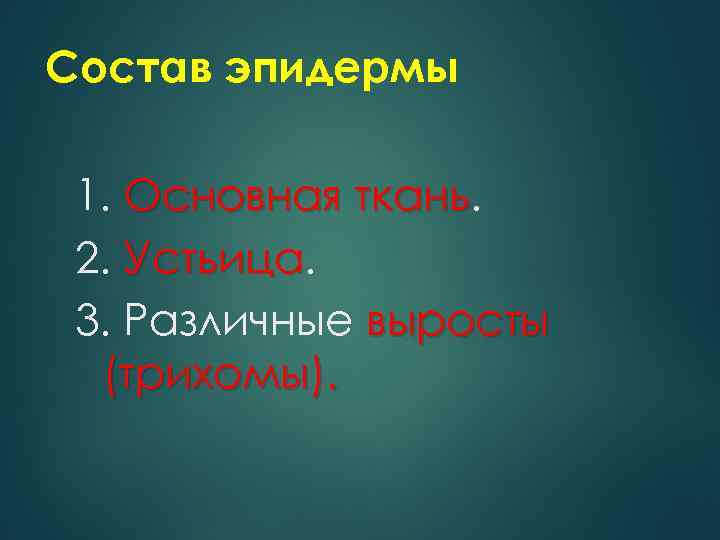 Состав эпидермы 1. Основная ткань 2. Устьица 3. Различные выросты (трихомы). 
