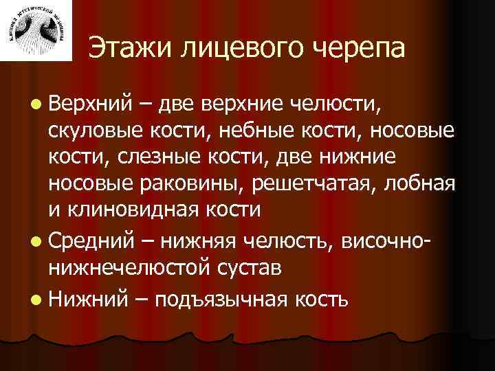 Этажи лицевого черепа l Верхний – две верхние челюсти, скуловые кости, небные кости, носовые