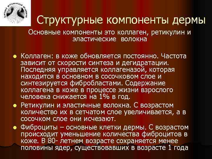 Структурные компоненты дермы Основные компоненты это коллаген, ретикулин и эластические волокна Коллаген: в коже