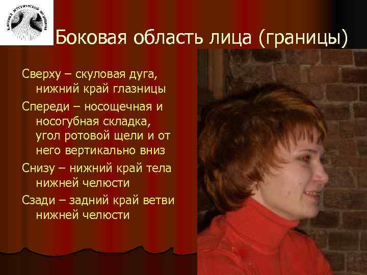 Боковая область лица (границы) Сверху – скуловая дуга, нижний край глазницы Спереди – носощечная