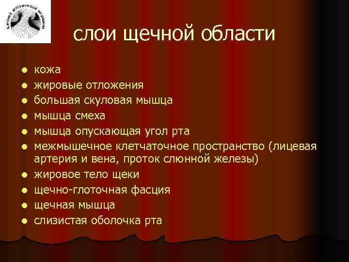слои щечной области l l l l l кожа жировые отложения большая скуловая мышца