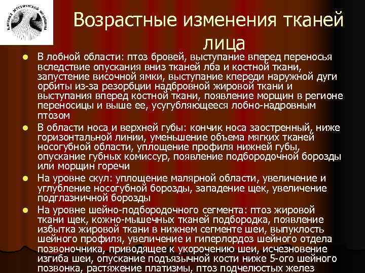 l l Возрастные изменения тканей лица В лобной области: птоз бровей, выступание вперед переносья