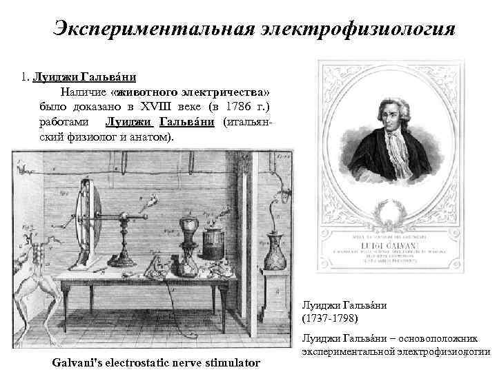 Экспериментальная электрофизиология 1. Луиджи Гальвáни Наличие «животного электричества» было доказано в XVIII веке (в