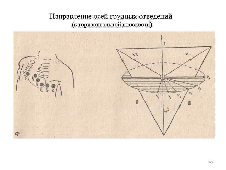 Направление осей грудных отведений (в горизонтальной плоскости) 46 