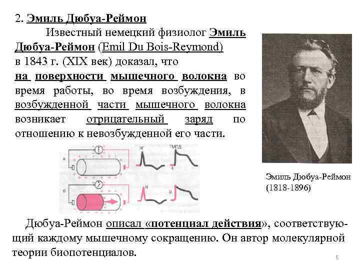 2. Эмиль Дюбуа-Реймон Известный немецкий физиолог Эмиль Дюбуа-Реймон (Emil Du Bois Reymond) в 1843