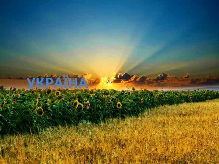 УКРАЇНА 