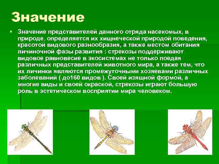 Значение § Значение представителей данного отряда насекомых, в природе, определяется их хищнеческой природой поведения,