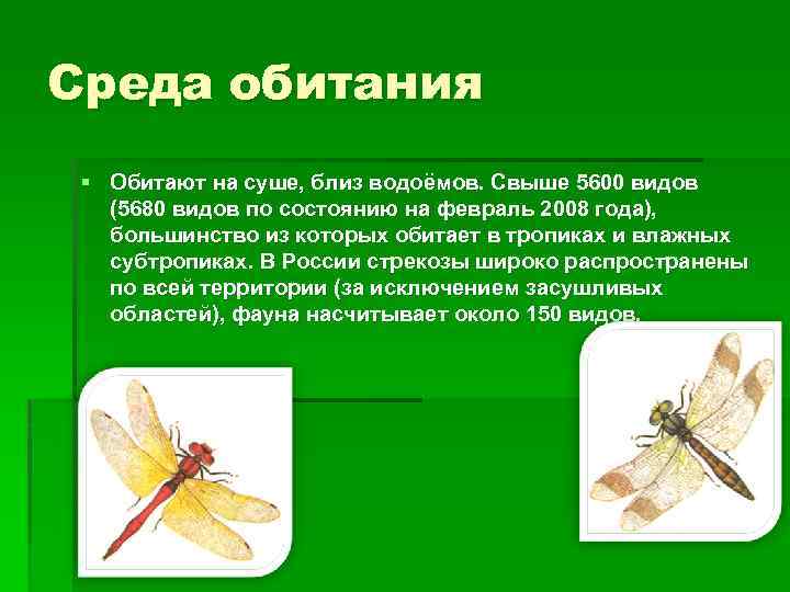 Среда обитания § Обитают на суше, близ водоёмов. Свыше 5600 видов (5680 видов по