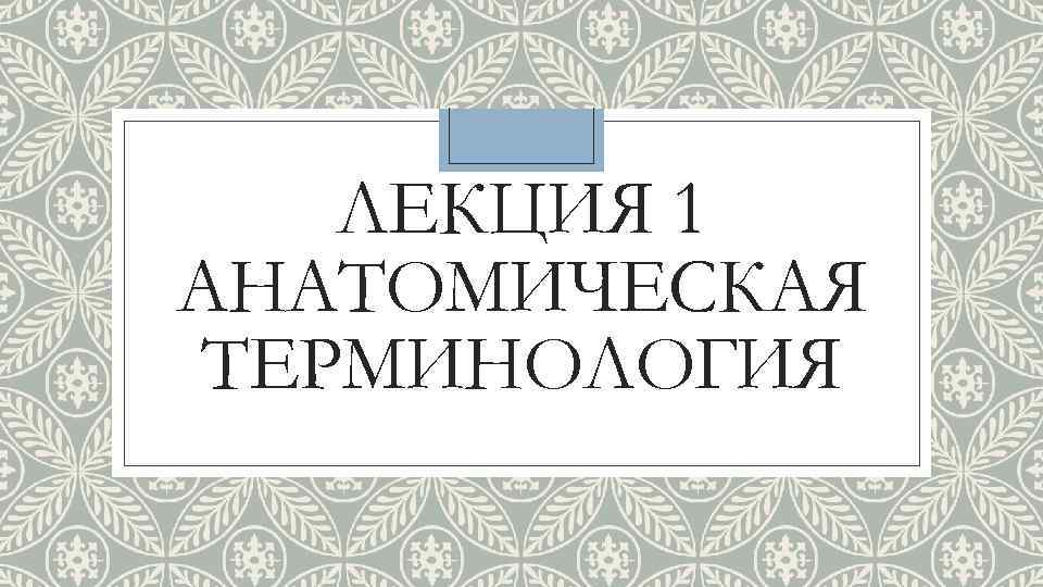 ЛЕКЦИЯ 1 АНАТОМИЧЕСКАЯ ТЕРМИНОЛОГИЯ 