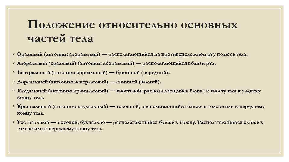 Положение относительно. Термин располагающиеся на противоположном рту полюсе тела. Термины описывающие положение относительно основных частей тела. Аборальное направление. Орально-аборальное направление.