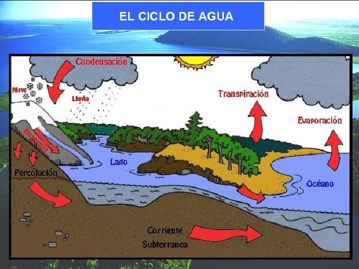 EL CICLO DE AGUA 