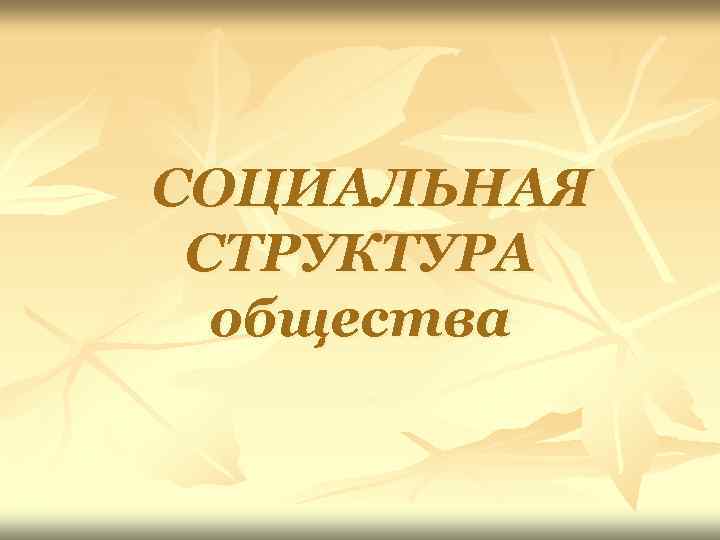 СОЦИАЛЬНАЯ СТРУКТУРА общества 
