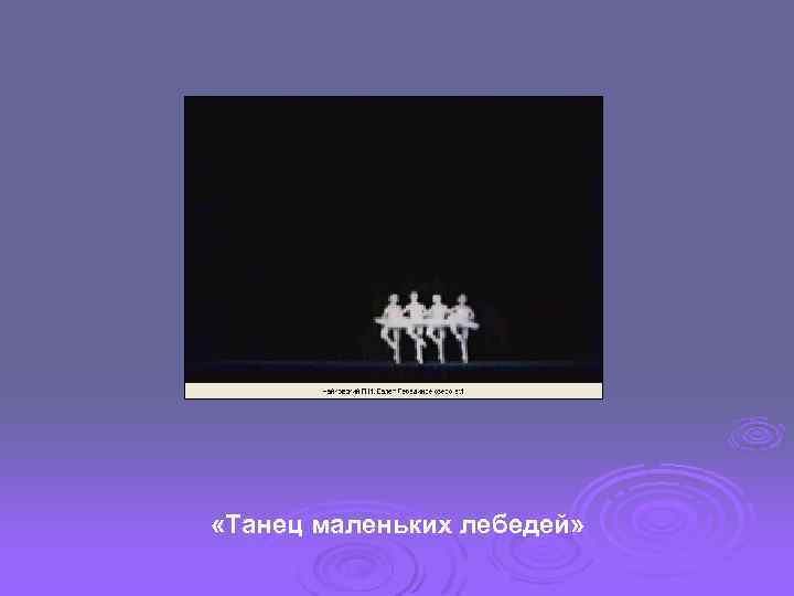  «Танец маленьких лебедей» 