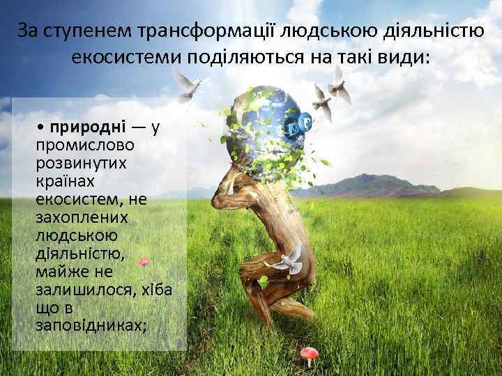 За ступенем трансформації людською діяльністю екосистеми поділяються на такі види: • природні — у