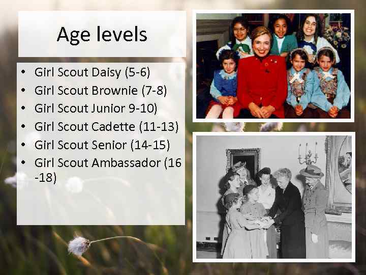Age levels • • • Girl Scout Daisy (5 -6) Girl Scout Brownie (7
