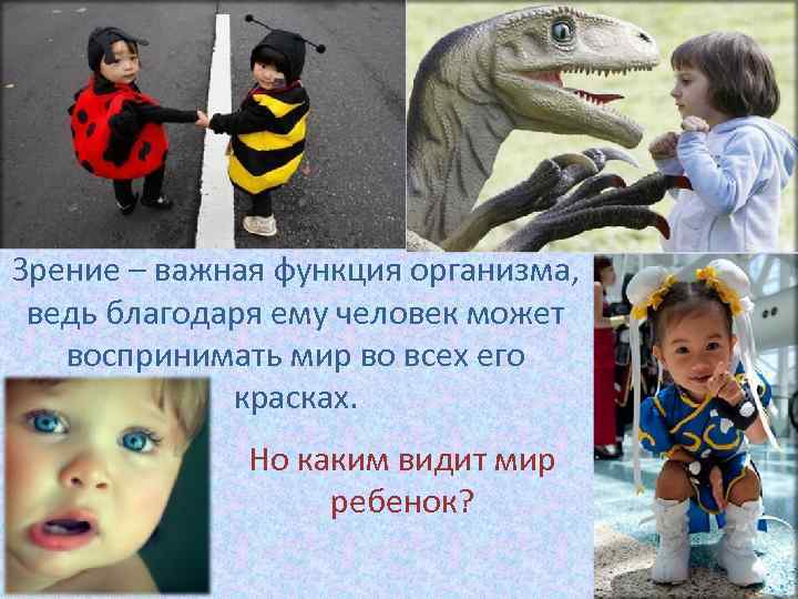 Зрение – важная функция организма, ведь благодаря ему человек может воспринимать мир во всех