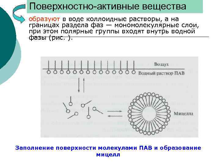 Поверхностно-активные вещества ¡ образуют в воде коллоидные растворы, а на границах раздела фаз —