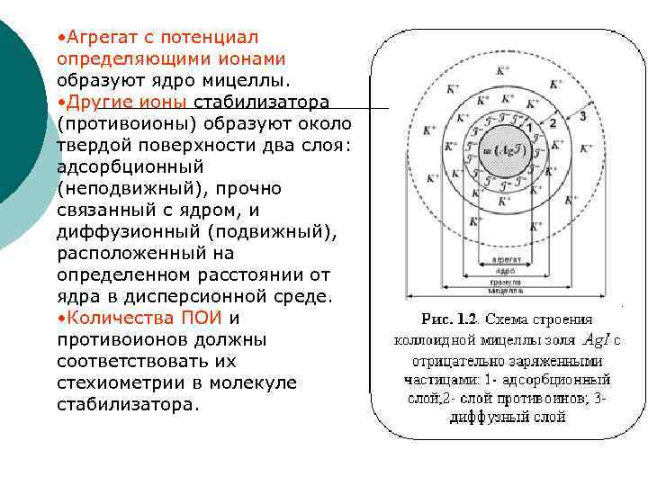  • Агрегат с потенциал определяющими ионами образуют ядро мицеллы. • Другие ионы стабилизатора