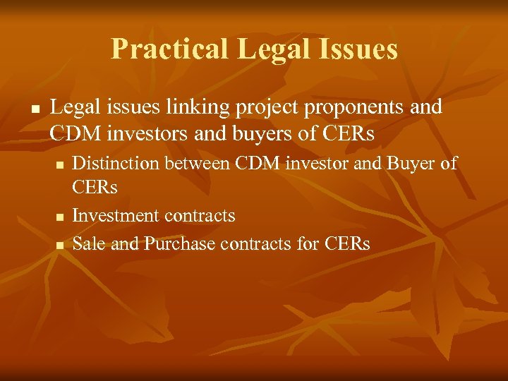 Practical Legal Issues n Legal issues linking project proponents and CDM investors and buyers