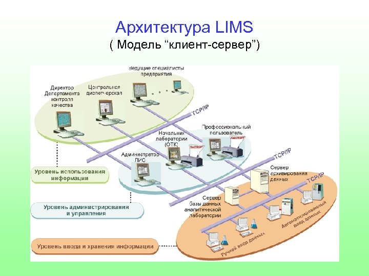 Архитектура LIMS ( Модель “клиент-сервер”) 