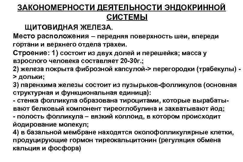 Закономерности деятельности