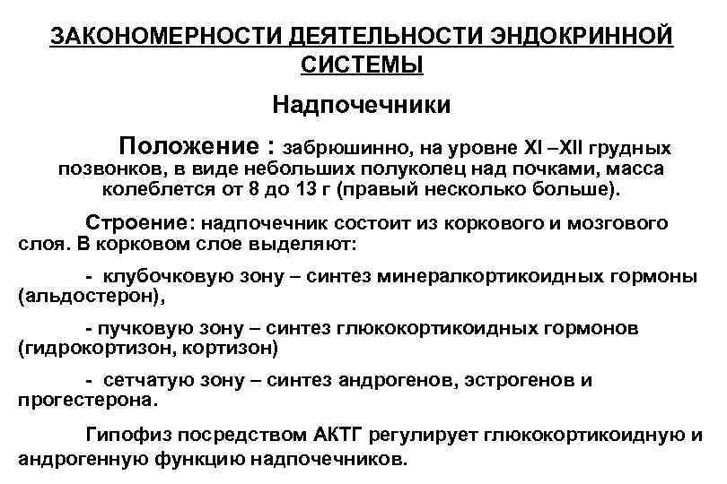 ЗАКОНОМЕРНОСТИ ДЕЯТЕЛЬНОСТИ ЭНДОКРИННОЙ СИСТЕМЫ Надпочечники Положение : забрюшинно, на уровне XI –XII грудных позвонков,