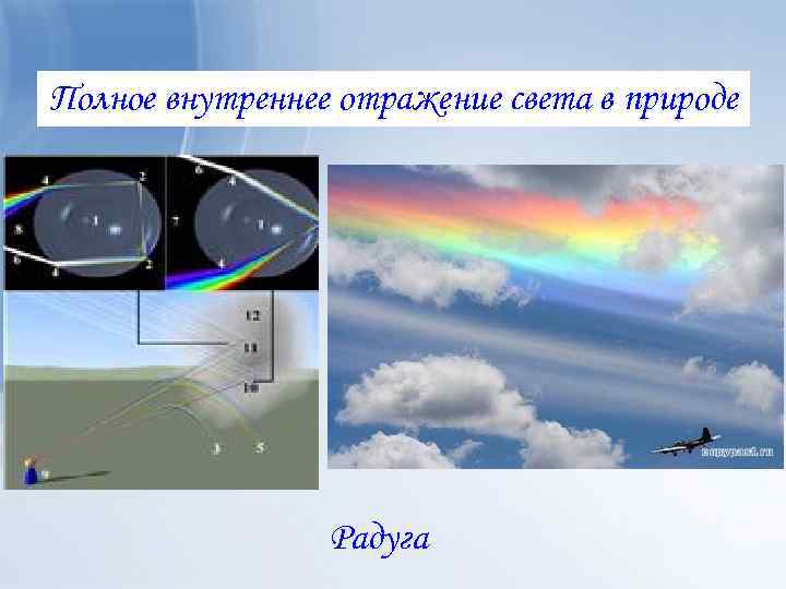 Отражение света в природе. Полное внутреннее отражение в природе. Полное отражение света в природе. Отражение света Радуга.