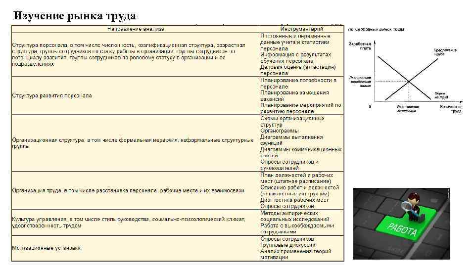 Изучение рынка труда 