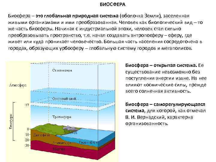 Таблица оболочки биосферы