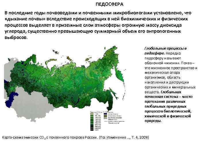 ПЕДОСФЕРА В последние годы почвоведами и почвенными микробиологами установлено, что «дыхание почвы» вследствие происходящих