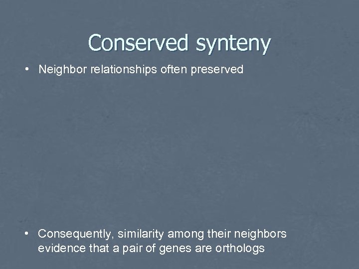 Conserved synteny • Neighbor relationships often preserved • Consequently, similarity among their neighbors evidence