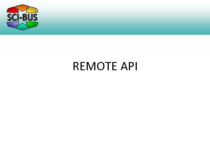 REMOTE API 