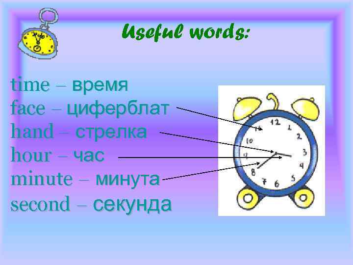 Useful words: time – время face – циферблат hand – стрелка hour – час