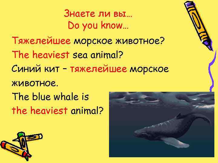 Знаете ли вы… Do you know… Тяжелейшее морское животное? The heaviest sea animal? Синий