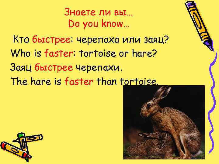 Знаете ли вы… Do you know… Кто быстрее: черепаха или заяц? Who is faster: