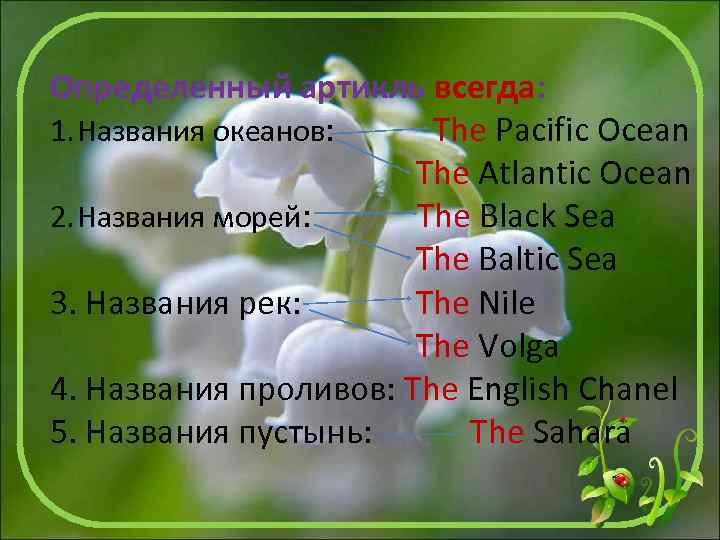 Определенный артикль всегда: 1. Названия океанов: The Pacific Ocean The Atlantic Ocean 2. Названия