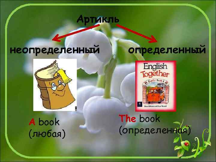 Артикль неопределенный A book (любая) определенный The book (определенная) 