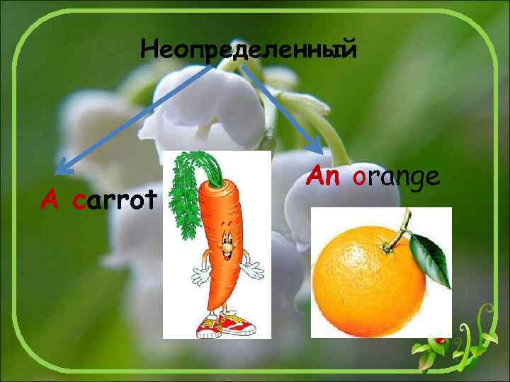 Неопределенный A carrot An orange 