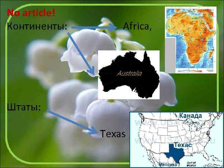 No article! Континенты: Africa, Штаты: Texas 