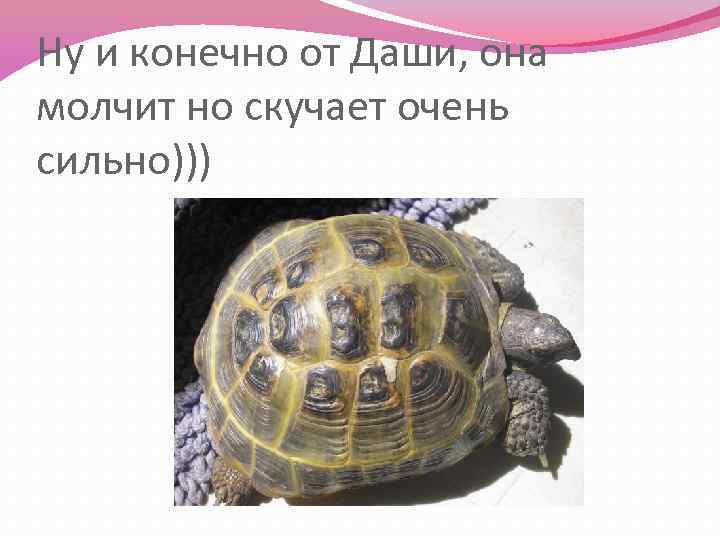 Ну и конечно от Даши, она молчит но скучает очень сильно))) 