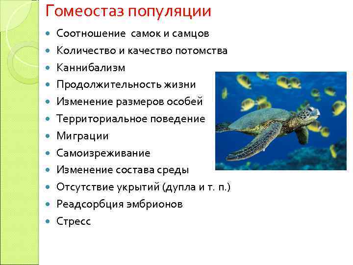 Охрана видов и популяций 11 кл презентация