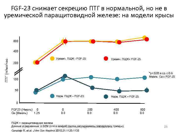 FGF-23 снижает секрецию ПТГ в нормальной, но не в уремической паращитовидной железе: на модели