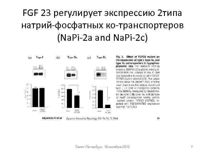 FGF 23 регулирует экспрессию 2 типа натрий-фосфатных ко-транспортеров (Na. Pi-2 a and Na. Pi-2