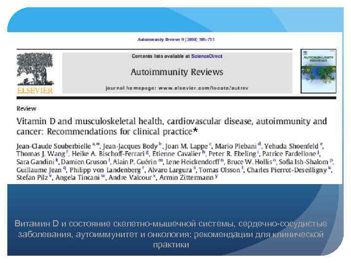 Витамин D и состояние скелетно-мышечной системы, сердечно-сосудистые заболевания, аутоиммунитет и онкология: рекомендации для клинической