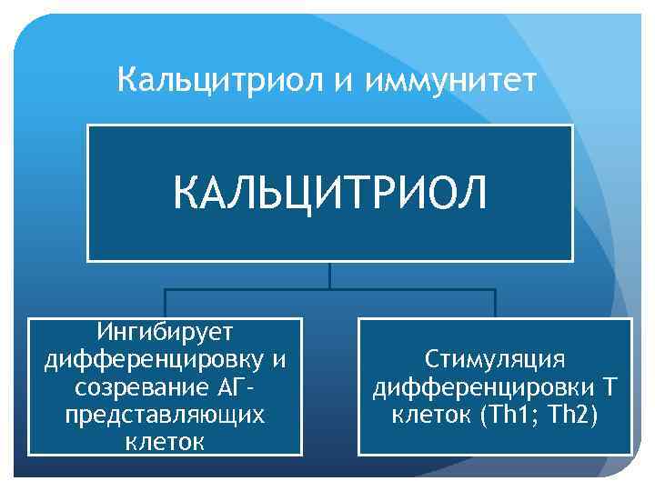 Кальцитриол и иммунитет КАЛЬЦИТРИОЛ Ингибирует дифференцировку и созревание АГпредставляющих клеток Стимуляция дифференцировки Т клеток