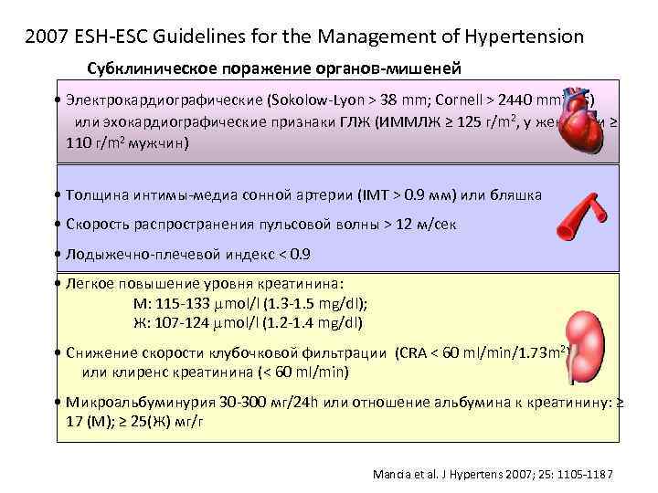 2007 ESH-ESC Guidelines for the Management of Hypertension Субклиническое поражение органов-мишеней • Электрокардиографические (Sokolow-Lyon