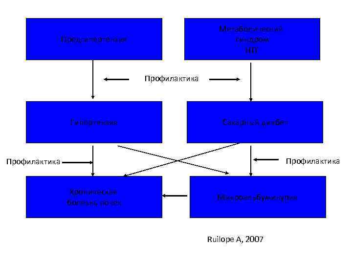 Метаболический синдром НТГ Предгипертензия Профилактика Гипертензия Сахарный диабет Профилактика Хроническая болезнь почек Микроальбуминурия Ruilope