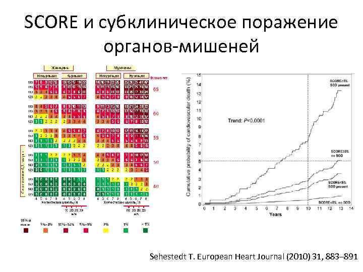 SCORE и субклиническое поражение органов-мишеней Sehestedt T. European Heart Journal (2010) 31, 883– 891